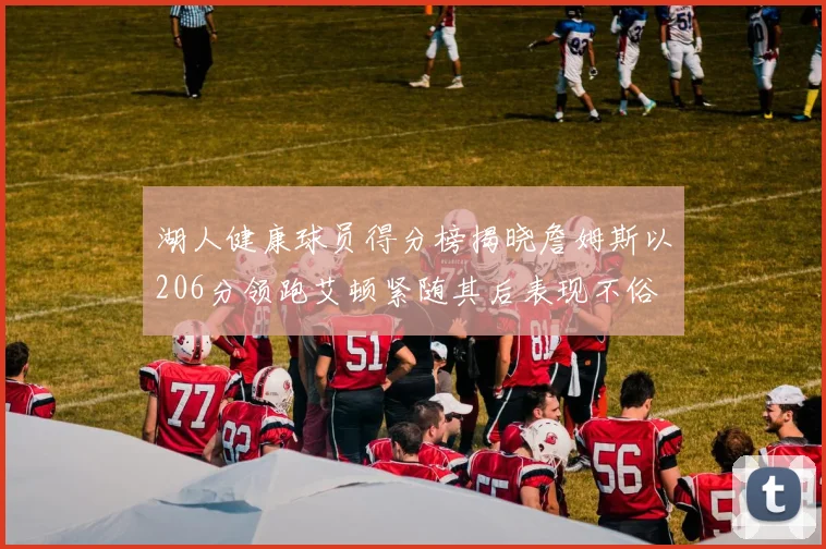 湖人健康球员得分榜揭晓詹姆斯以206分领跑艾顿紧随其后表现不俗